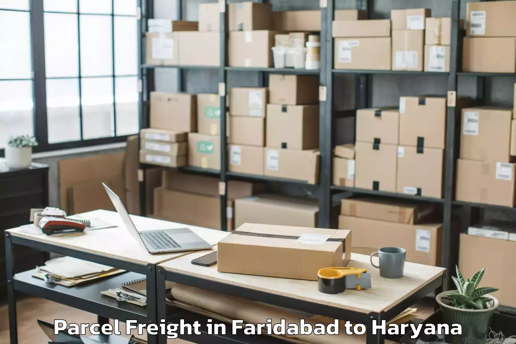 Get Faridabad to Central Plaza Mall Gurgaon Parcel Freight